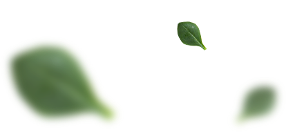 Green 1