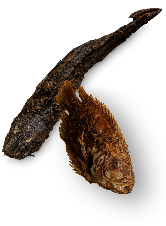 Ikan 01